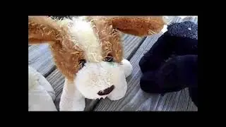 Webkinz Pool Party 2