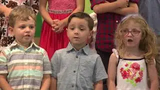 Luke Spring Play 2018
