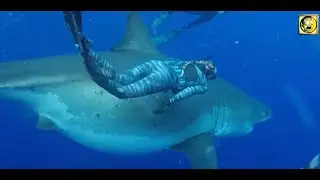 Crazy Animal Moments 🔥Funniest Moments Ever 😂😂