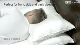 European Feather & Down Pillows