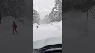 Merry Christmas! 12/25/2025 Mammoth Lakes getting walloped with snow . Current conditions 11am