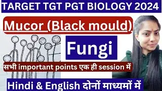 Mucor (Black mould)|TGT|PGT Biology|Lt grade|uptgtpgtbiologyclases|Bsc& MSc biology|By Priyal bhati