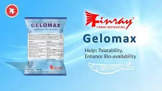 Helps Palatability in fish & shrimp, Enhance Bioavailability : GELOMAX&reg; | Finray Biotech Inc