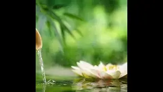 New How does BioPulse work doco   Biopulse Ionic Detox Foot Spa Australasia & USA
