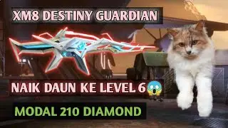💥XM8  💥DESTINY GUARDIAN 💥naik daun ke level 6 Modal mistrishop mantpp Garena fripayer 😄🐰