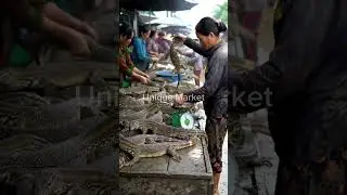 Inside an Asian Traditional Market: Life, Trade, and Culture in Every Corner