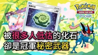 赤面龍也能當主力！化石讓這牌組拿了冠軍，還被網友罵亂教？夢幻ex & 赤面龍 牌組【Pokémon TCG Pocket】 #寶可夢卡牌 #甲賀忍蛙 #新手入門