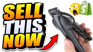 TOP 10 SHOPIFY WINNING PRODUCTS TO SELL RIGHT NOW (November 2020)