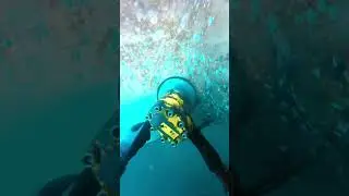 Deep Sea Ship Cleaning at Extreme Depths! 🌊⚓ #DeepSea #ShipCleaning #OceanAdventure