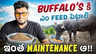 #dairyfarm #mananaturalfarm #cow #milk #public #love #agriculture #farming