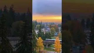 Train Passing Golden Hour Vancouver #aesthetic #nature #shorts