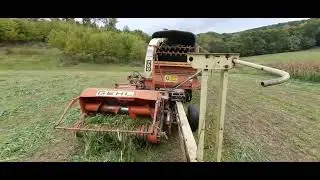chopping sorghum sudan
