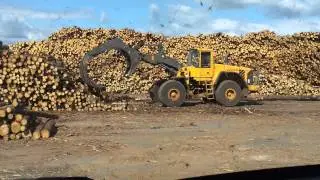Volvo L150e Loading Shovel and Log Grab.