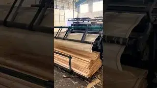 Amazing Veneer Production Process #satisfying  #woodworking @NotchTechTips