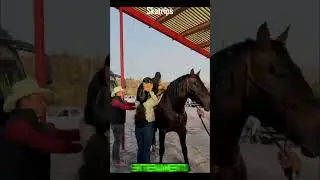 Esto costo el caballo de Christian Nodal!😱