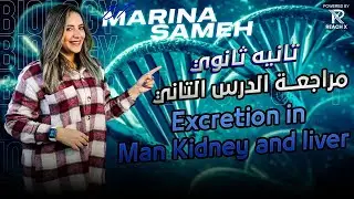Summary lesson 2  Excretion in Man kidney and liver 2nd Secondry