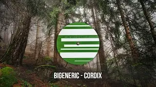 Bigeneric aka Marco Repetto &ndash; Cordix (2000)