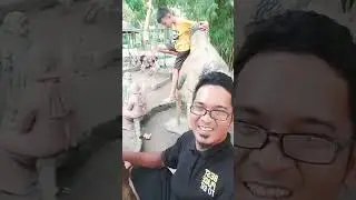 TAMAN RIMBA