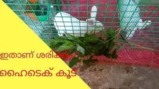 ഇതാണ് ശരിക്കും ഹൈടെക് മുയൽ കൂട് real high-tech rabbit cage