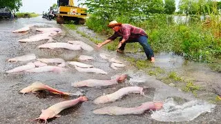I found lots of redfish swimming on the national road in flooded!