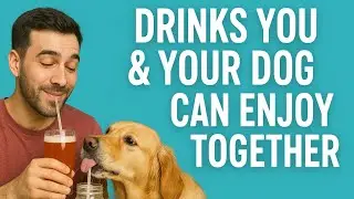 Refreshing Drinks You and Your Dog Can Enjoy Together! 🐶🍹