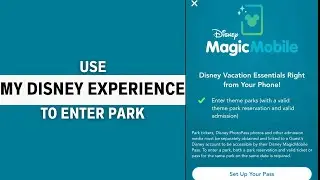 How to Use My Disney Experience App to Enter Park (Step-by-Step)