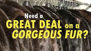 Madison Ave Furs Giant President's Day Weekend Unclaimed Fur Sale, 2023