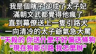 我是個瞎子卻成了太子妃，滿朝文武都覺得他瘋了，直到幕僚送上一隻引路犬，一向清冷的太子爺氣急大罵
