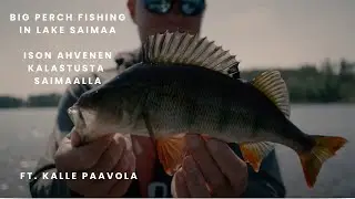 Ison ahvenen kalastusta Saimaalla | Kalle Paavola