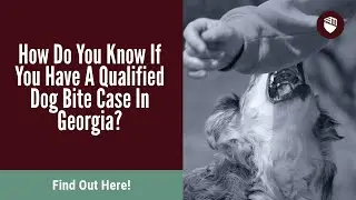 How Do You Know If You Have A Qualified Dog Bite Case In Georgia? Find Out Here!