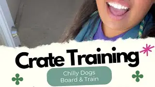 Crate Training + &ldquo;Sit&rdquo; and the Implied Stay