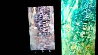 Motorola Moto G Vs. BLU Studio 6.0HD NOVA 3 TEST