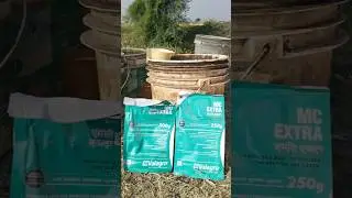 #mc extra for side branches#seaweed#valagro#sumipleo#chilli#mirchi#mirapa#shorts#reels#yt