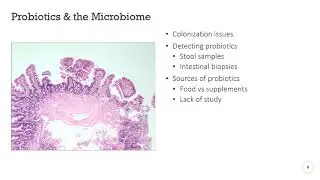 Probiotics, Gastrointestinal Microbiome, and Personalized Medicine
