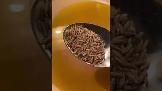 Bhindi fry #shorts#short#youtube#youtube-video# lunch# recipe #curry #food#trading#viral #yum#