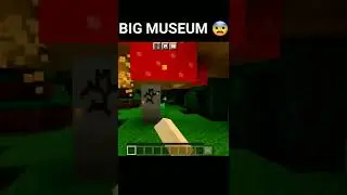 minecraft big museum 😨
