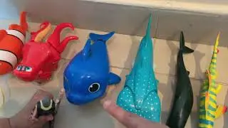 Sea Animal Toys Size Comparison