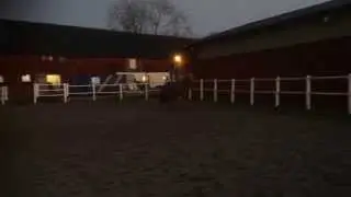Till salu: Smári