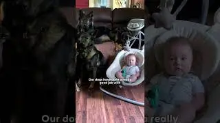 Baby Girl Is Being Raised By Six German Shepherds | The Dodo