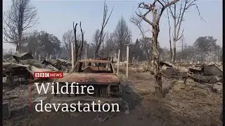 Weather Events 2020 Wildfires devastation across three states - (USA) - BBC - 11th September 2020