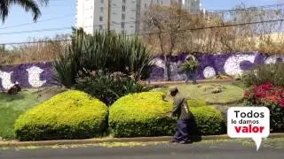 Camellones y Glorietas