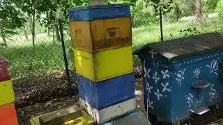 Akademia pszczelnictwa wg Siudalskiego Wentylacja w ulach podgrzewanych... poleca Antoni Fajger..