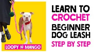 Dog Leash - Size L (recommended for medium or large size dogs)