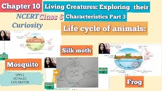 Class 6 Chapter 10 NCERT Living creatures exploring their characteristics Part 3 CBSE 