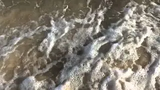 Gulf Waves - Extended Version