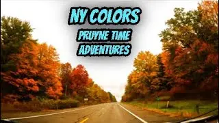 ROAD TRIP #269: Bath to Wayne NY | Backroads Along Keuka Lake&rsquo;s Beauty. Fall Foliage Full Bloom.
