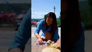 CUTE DOGS 🐶 🐶Smart dog&nbsp;#Shorts&nbsp;| Smart dog videos | Dog training videos |Srm dogs tv