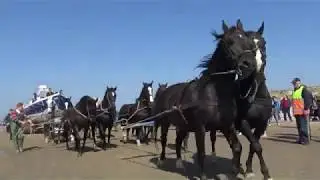 Paardenreddingboot Ameland