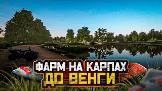 Русская Рыбалка 4! Как фармить, когда не клюёт?