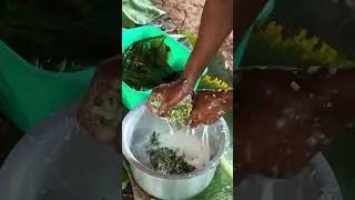 How to turn banana into beer?
